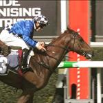 Cup Day Chances Cup Day Chances